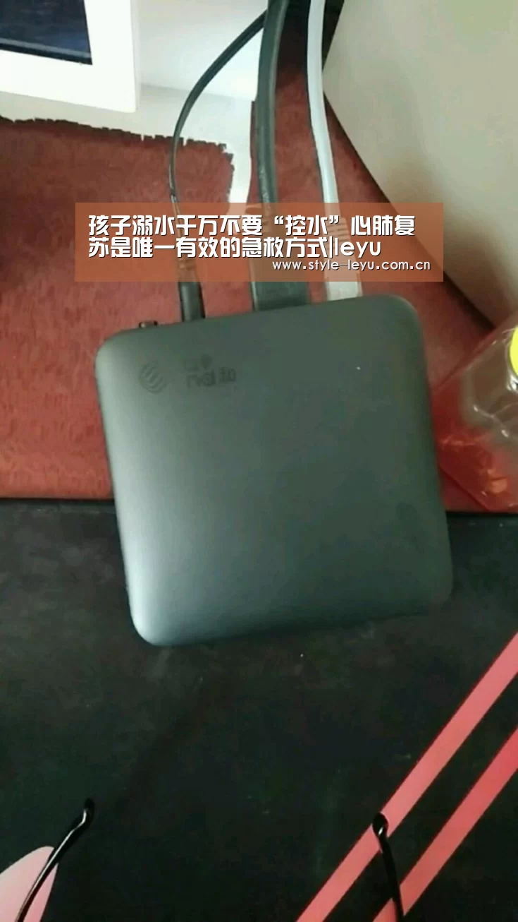 乐鱼