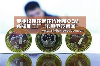 乐鱼电竞官网