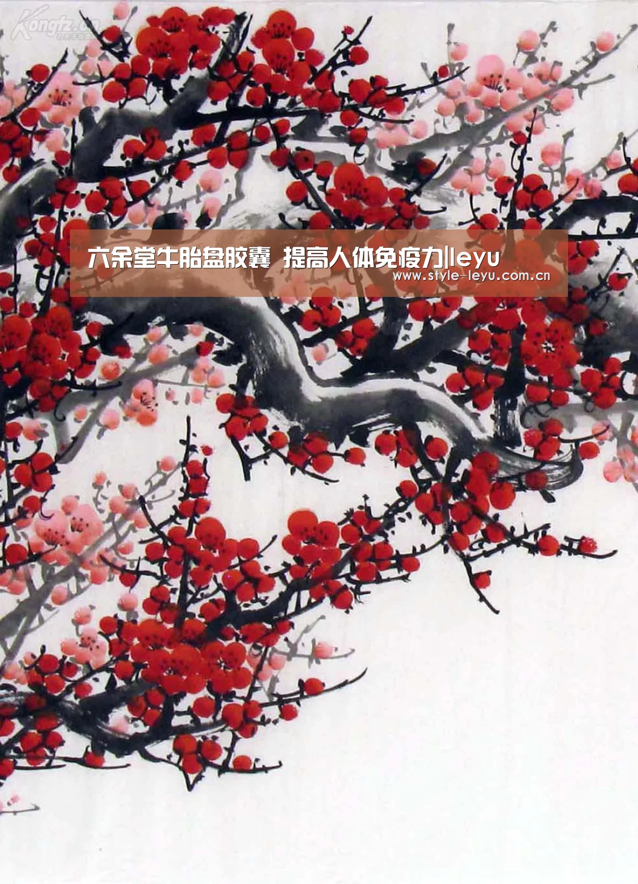 六余堂牛胎盘胶囊 提高人体免疫力|leyu(图2) 六余堂牛胎盘胶囊 提高人体免疫力|leyu(图2)