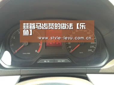 乐鱼电竞官网