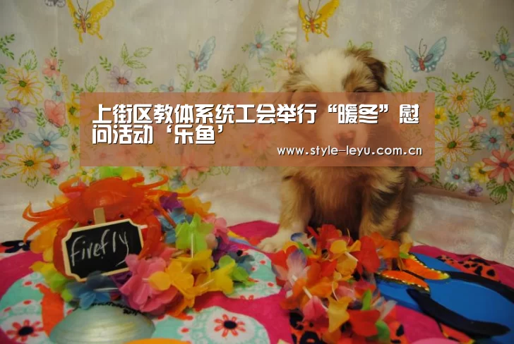 乐鱼