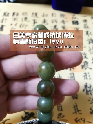 日美专家制成抗埃博拉病毒新疫苗:leyu(图3) 日美专家制成抗埃博拉病毒新疫苗:leyu(图3)