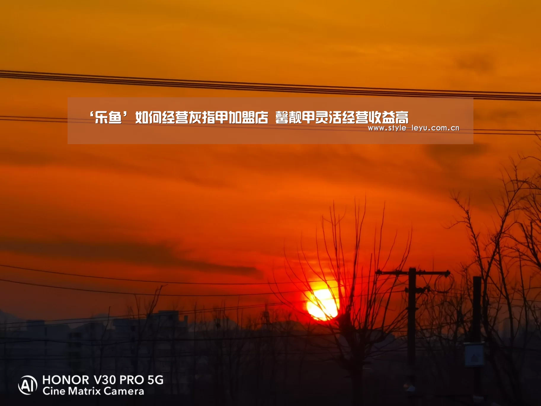 乐鱼体育