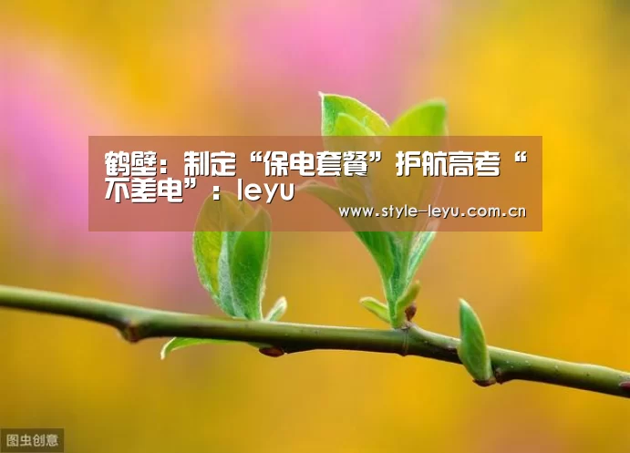 乐鱼电竞官网